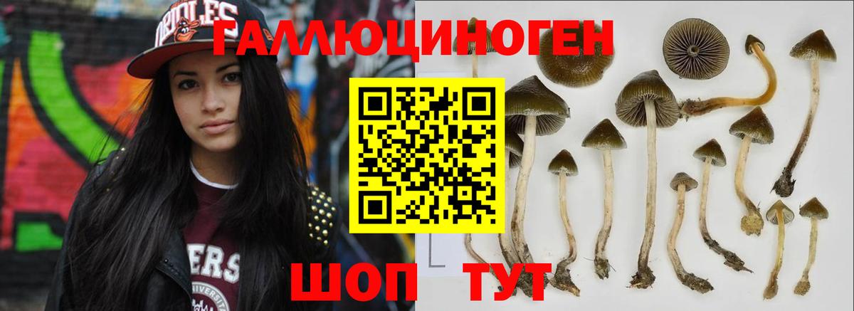 Галлюциногенные грибы GOLDEN TEACHER Уссурийск